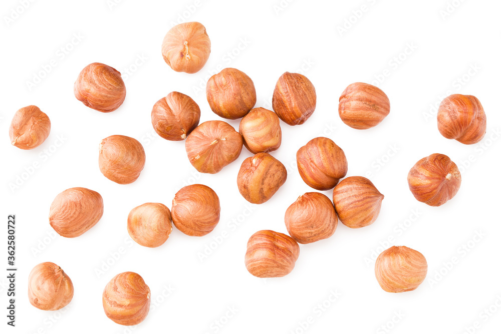 hazelnuts isolated on white background. top view hazelnuts isolated on white background. top view