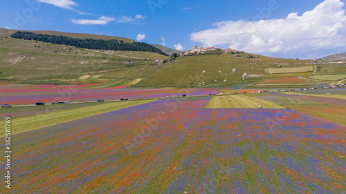 Canvastavla national park sibillini mountains blooms of castelluccio di norcia