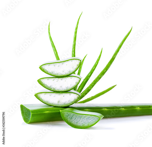 Aloe vera fresh leaves with slices on white background