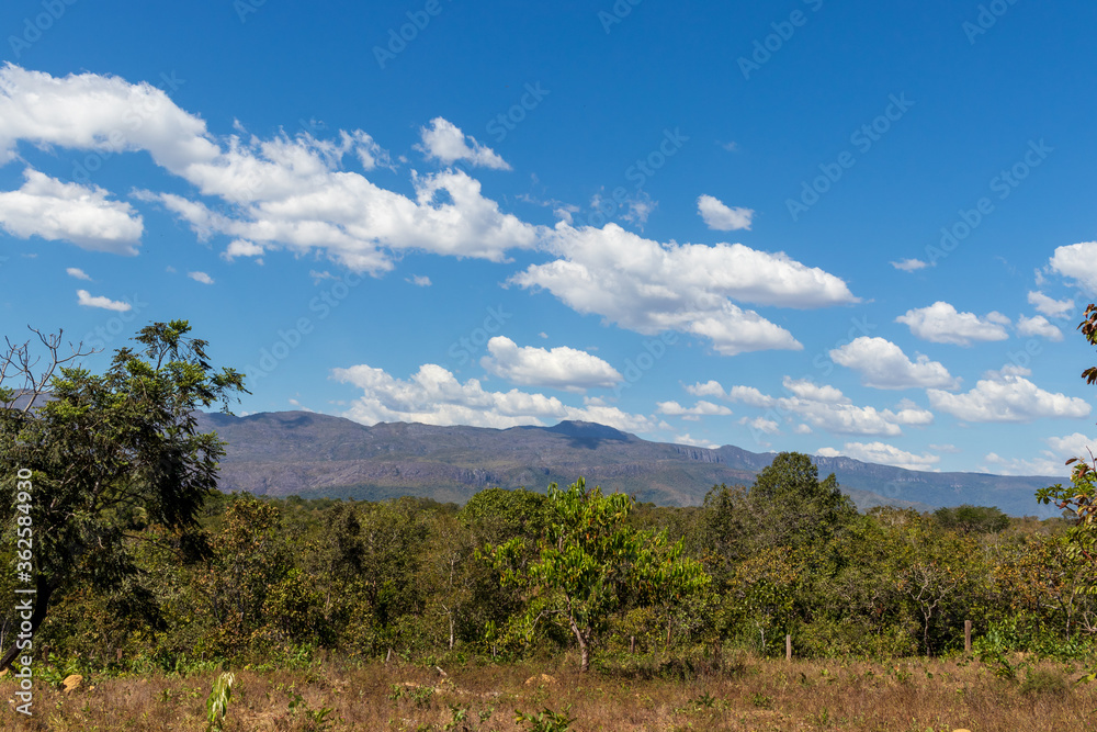 Cerrado com árvores e montanhas em Cavalcante, Goiás.