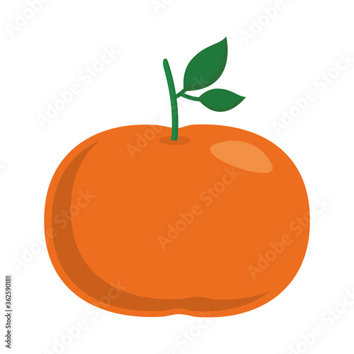 mandarine flat style icon design, Fruit healthy organic food sweet and nature theme Vector illustration