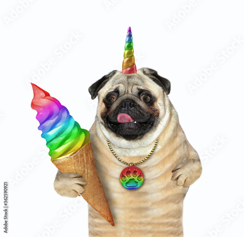 The pug dog unicorn in a locket is holding a cone of rainbow ice cream. White background. Isolated.