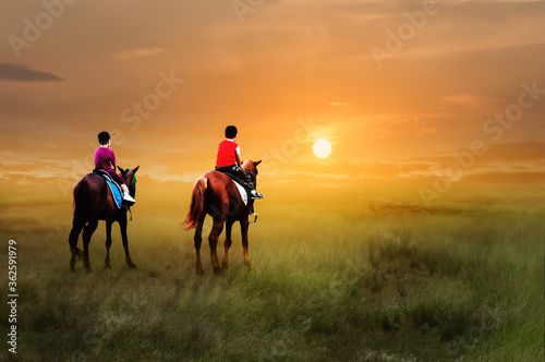 horse and rider on sunset