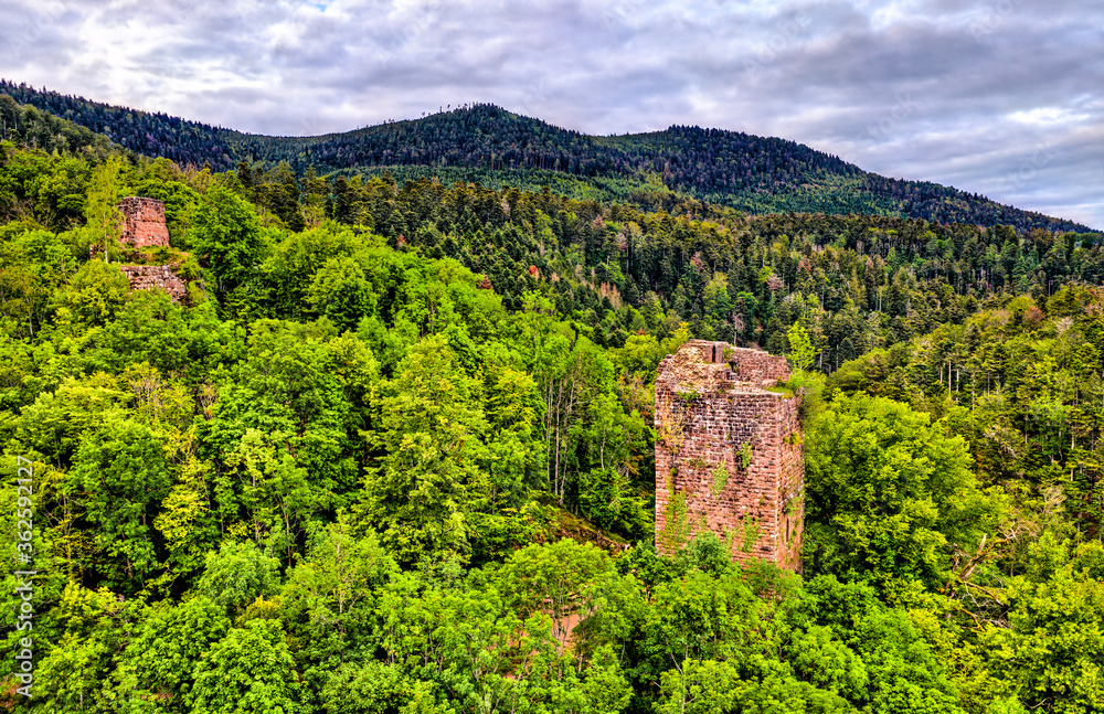 Ruins of Nideck Castle in the Vosges Mountains - Bas-Rhin, Alsace, France