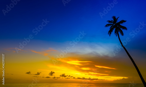 Fototapeta Naklejka Na Ścianę i Meble -  beautiful sunset of the caribbean