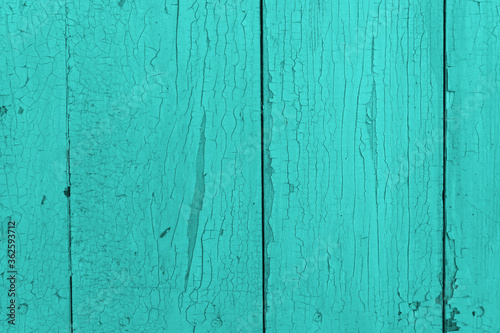 Background from turquoise painted old boards with cracked paint. Old rustic texture in a fashionable modern color.