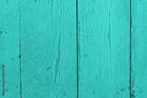 Background from turquoise painted old boards with cracked paint. Old rustic texture in a fashionable modern color. © d_odin