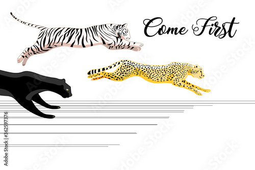 Photography Vector running Panther, tiger and leopard