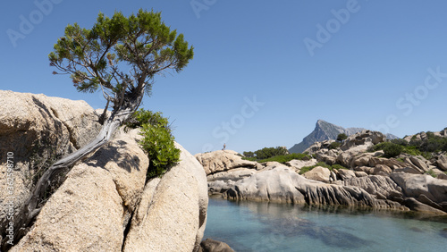 Cuadro en lienzo Cala Ghjlgolu (o Girgolu) si trova in località Vaccilleddi, alla base del promontorio di Monte Petrosu, nel territorio di Loiri Porto San Paolo