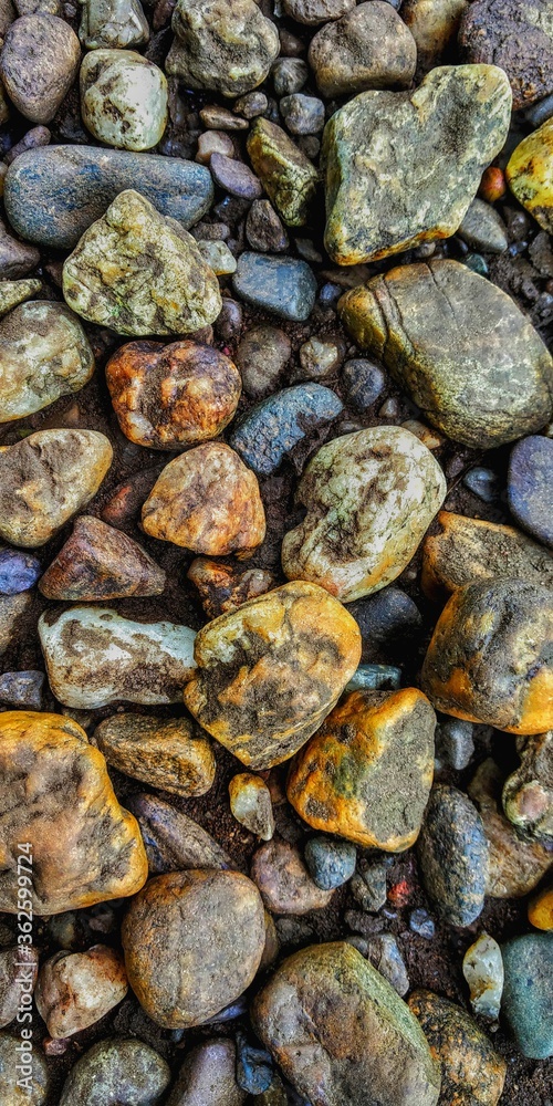 Colorful Pebbles stones near a river in western ghats.