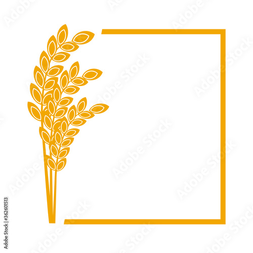 Wheat or barley ears. Harvest wheat grain, growth rice stalk and whole bread grains or field cereal nutritious rye grained agriculture products ear symbol border on white