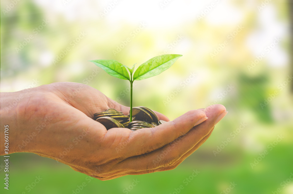growth finance concept plant growing on coin in business man hand for wealth saving money and investment success. growth finance concept plant growing on coin in business man hand for wealth saving money and investment success.
