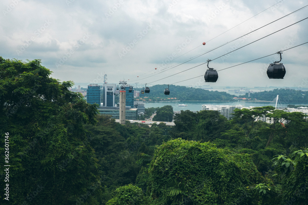 Ropeway over forest, Singapore.