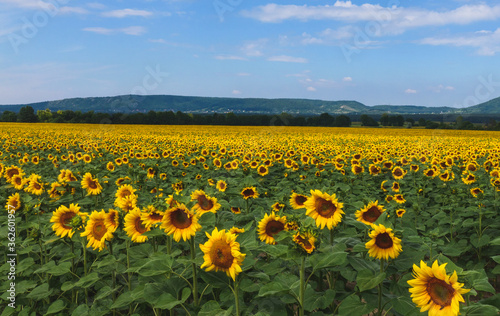 Nature views of Hungarian province