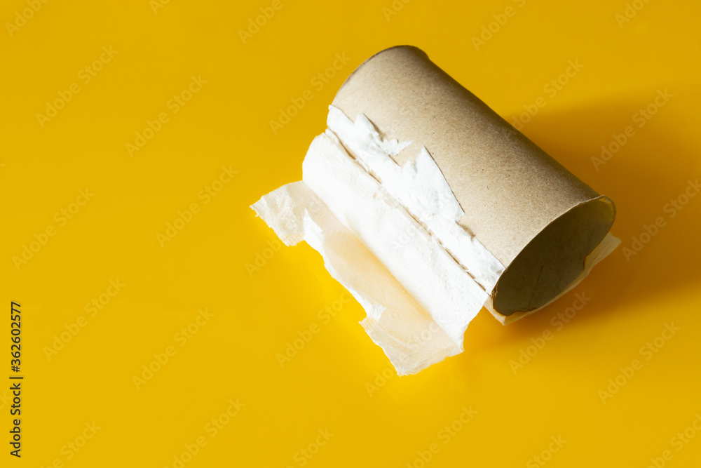 Fototapeta premium There is no toilet paper