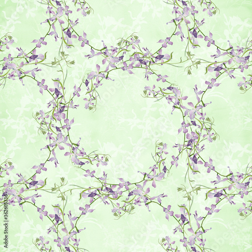  Seamless pattern. Flowers, leaves and buds of  matiola photo