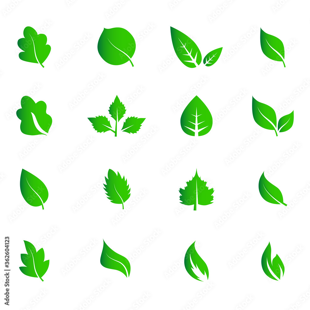 Abstract leaf icon set isolated on white background. Collection of leaf icons for symbol, logo, sign, label and app. Creative art concept. Vector illustration, flat leaves