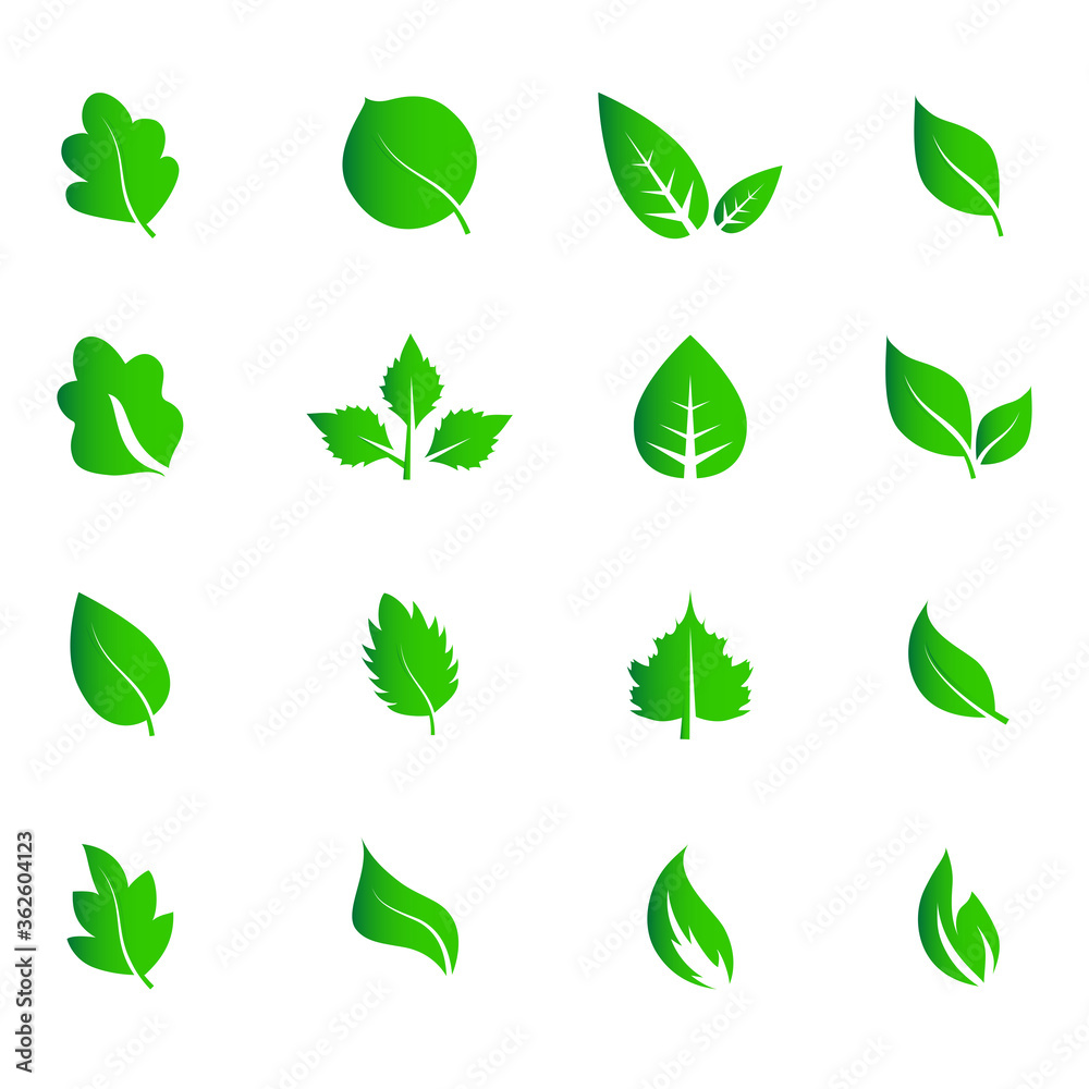 Abstract leaf icon set isolated on white background. Collection of leaf icons for symbol, logo, sign, label and app. Creative art concept. Vector illustration, flat leaves Abstract leaf icon set isolated on white background. Collection of leaf icons for symbol, logo, sign, label and app. Creative art concept. Vector illustration, flat leaves