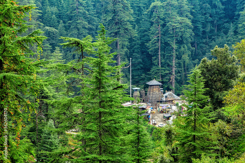 Jageshwar Temple and giant deodars at the background in Almora, uttarakhand. photo