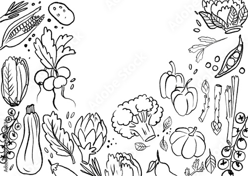 set of different doodle vegetable hand draw simple sketch outline and softly shadow charm of vegetable design. illustration isolated on white background