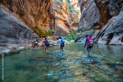 Obraz na plátne Group of diverse people hiking through a river at Zion National Park