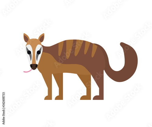 cute cartoon numbat isolated on white background vector illustration