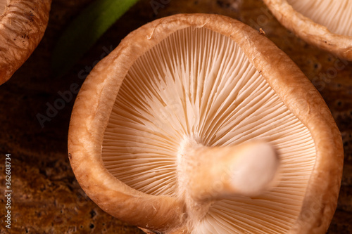 Shitake Mushroom on Wood Background