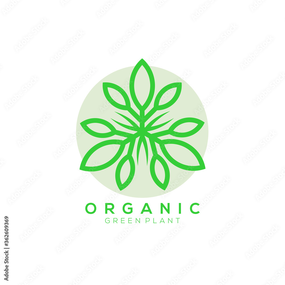 green leaf plant vector logo with light green background green leaf plant vector logo with light green background