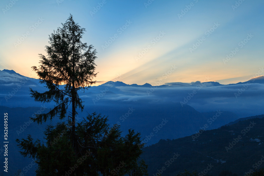 View of Panchachauli peaks of the Great Himalayas as seen from Munsiyari, Uttarakhand, India.