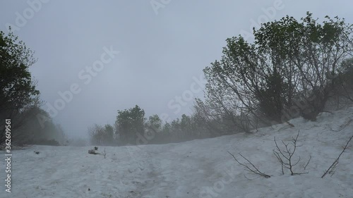 Fog forms over the snow in the warm spring air. Large snowfield high in the mountains.