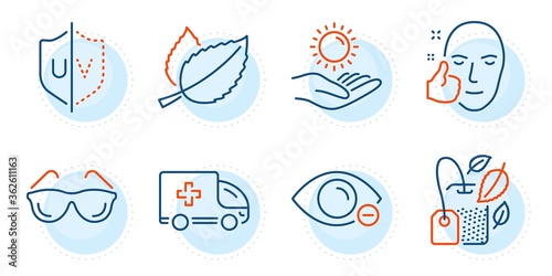 Mint bag, Eyeglasses and Mint leaves signs. Uv protection, Ambulance emergency and Healthy face line icons set. Myopia, Sun protection symbols. Ultraviolet, Medical transport. Medical set. Vector