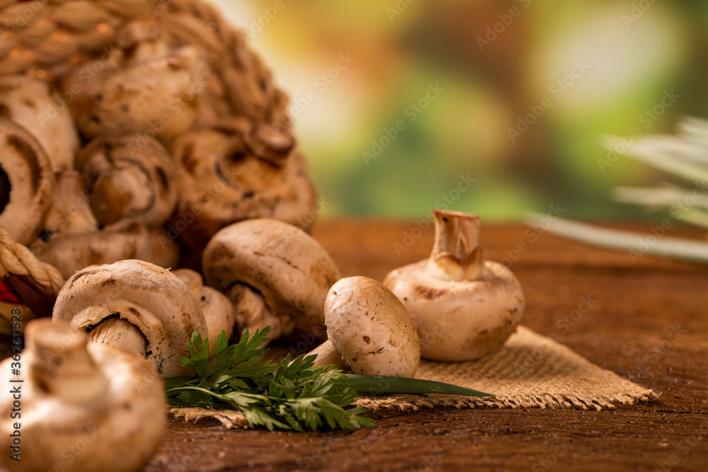 Paris or champignon Mushroom on Wood Background Paris or champignon Mushroom on Wood Background