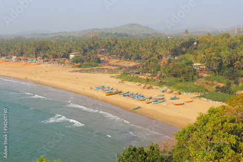 Gokarna Beach, Karnataka. Top view of the palm tree and the beach.