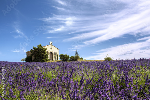 Chapelle dans la lavande à Valensole en Provence France