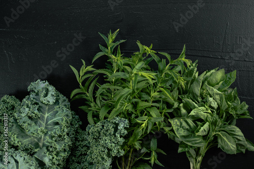 Basil and kale leaves with copy space 