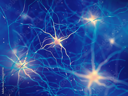 Cuadro en lienzo Human brain nerve cells , The neurons are a part of the central nervous system