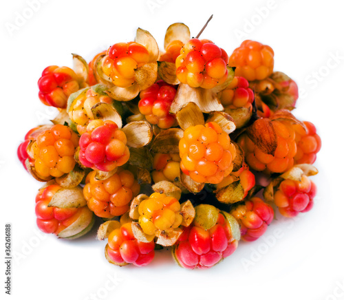 Cloudberry isolated on a white background. photo