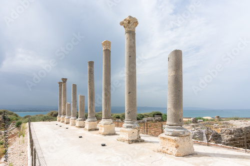 Nine granite columns, part of the palaestra in Al Mina archaeological site, Roman ruins in Tyre, Lebanon