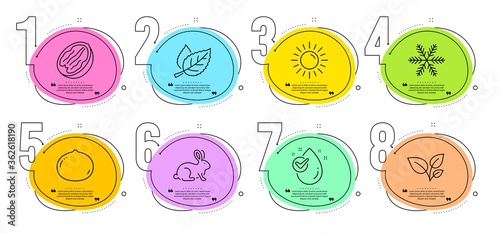 Water drop, Leaves and Pecan nut signs. Timeline steps infographic. Snowflake, Macadamia nut and Animal tested line icons set. Sun, Leaf symbols. Air conditioning, Vegetarian food. Nature set. Vector