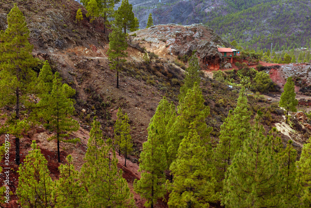 Fototapeta premium Natural Park of Pilancones in Gran Canaria, Canary Islands, Spain