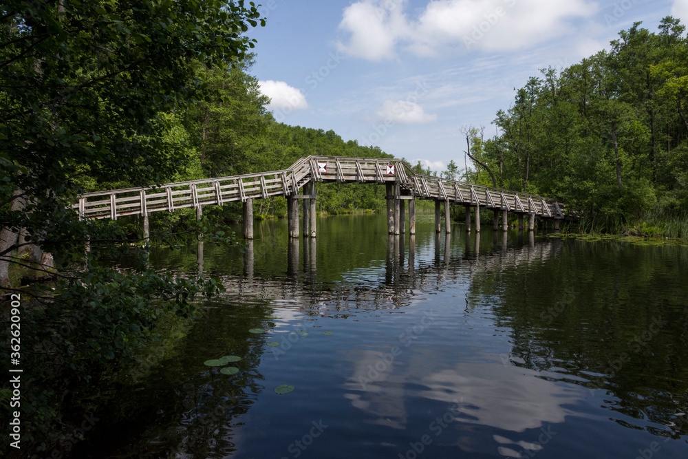 Holzbrücke