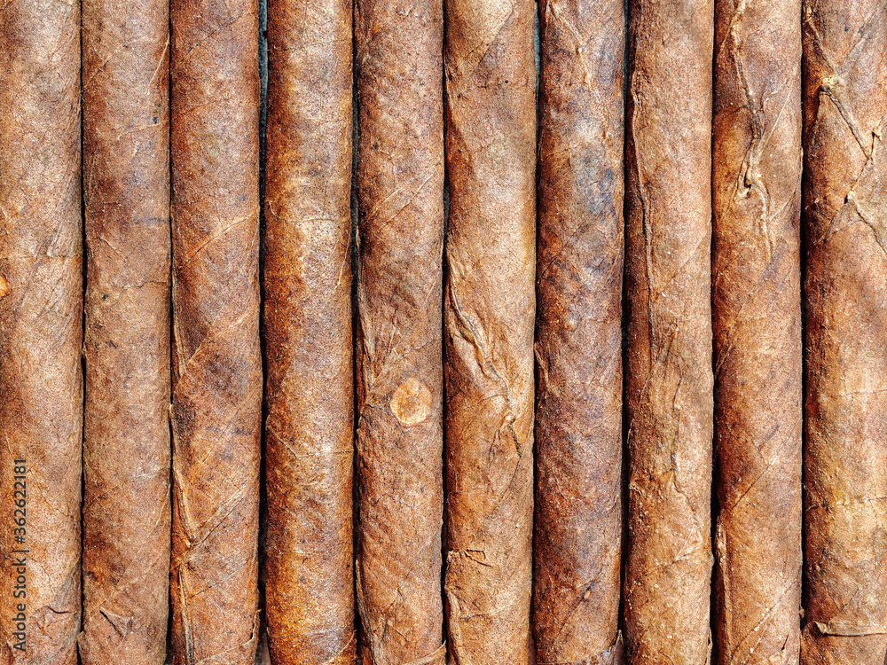 Tobacco smoking concept. Close view of the cigarillos. Twisted tobacco leaves. Tobacco smoking concept. Close view of the cigarillos. Twisted tobacco leaves.