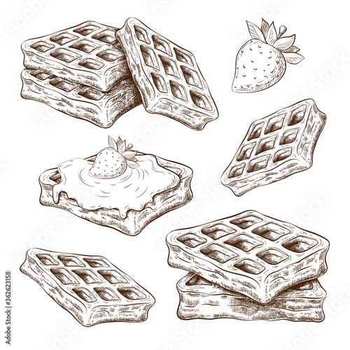 Hand drawn cute waffles isolated on white. vector sketch of belgium wafers in vintage engraved style. sweet pastry ink illustration. dessert collection for label, logo, bakery menu, posters design ect