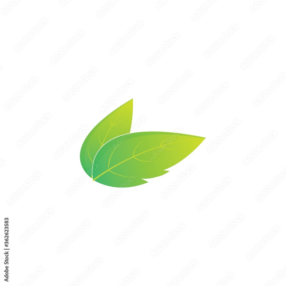 leaf logo icon vector leaf logo icon vector