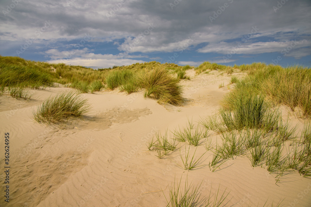 Dünenlandschaft mit wolkigem Himmel. Dünenlandschaft mit wolkigem Himmel.