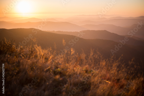 Autumn in mountains panorama view sunny day pine sunrise