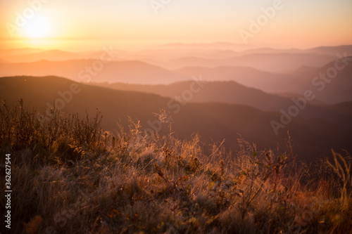 Autumn in mountains panorama view sunny day pine sunrise