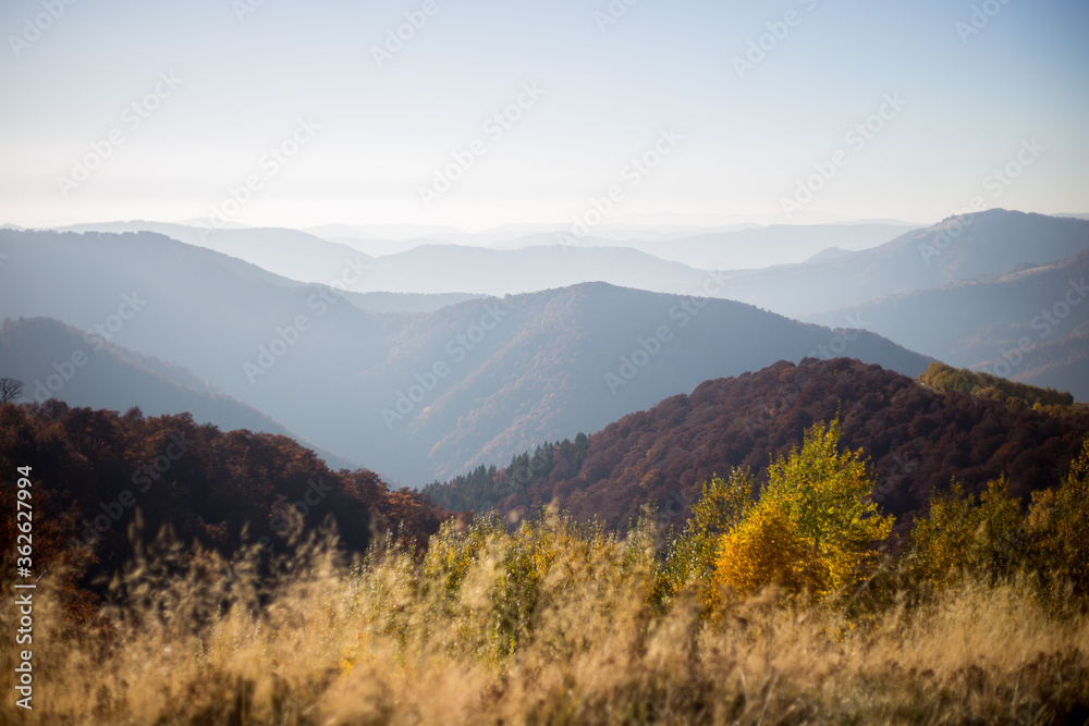 Autumn in mountains panorama view sunny day pine 