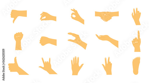 Set of human hands. Various hand gestures. Vector illustration