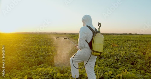 Spray ecological pesticide. Farmer fumigate in protective suit and mask Spraying Fertilizers on soybean plant field. Man spraying toxic pesticides, pesticide, insecticides